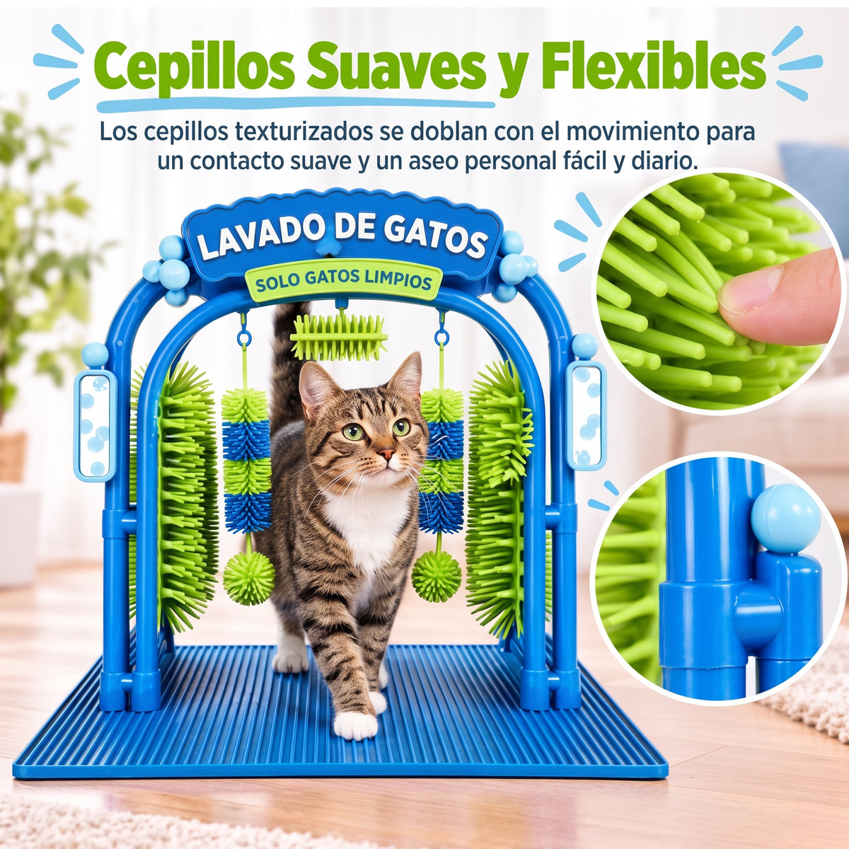 Cat Spa