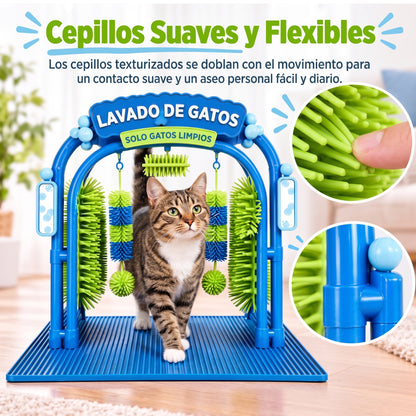 Cat Spa