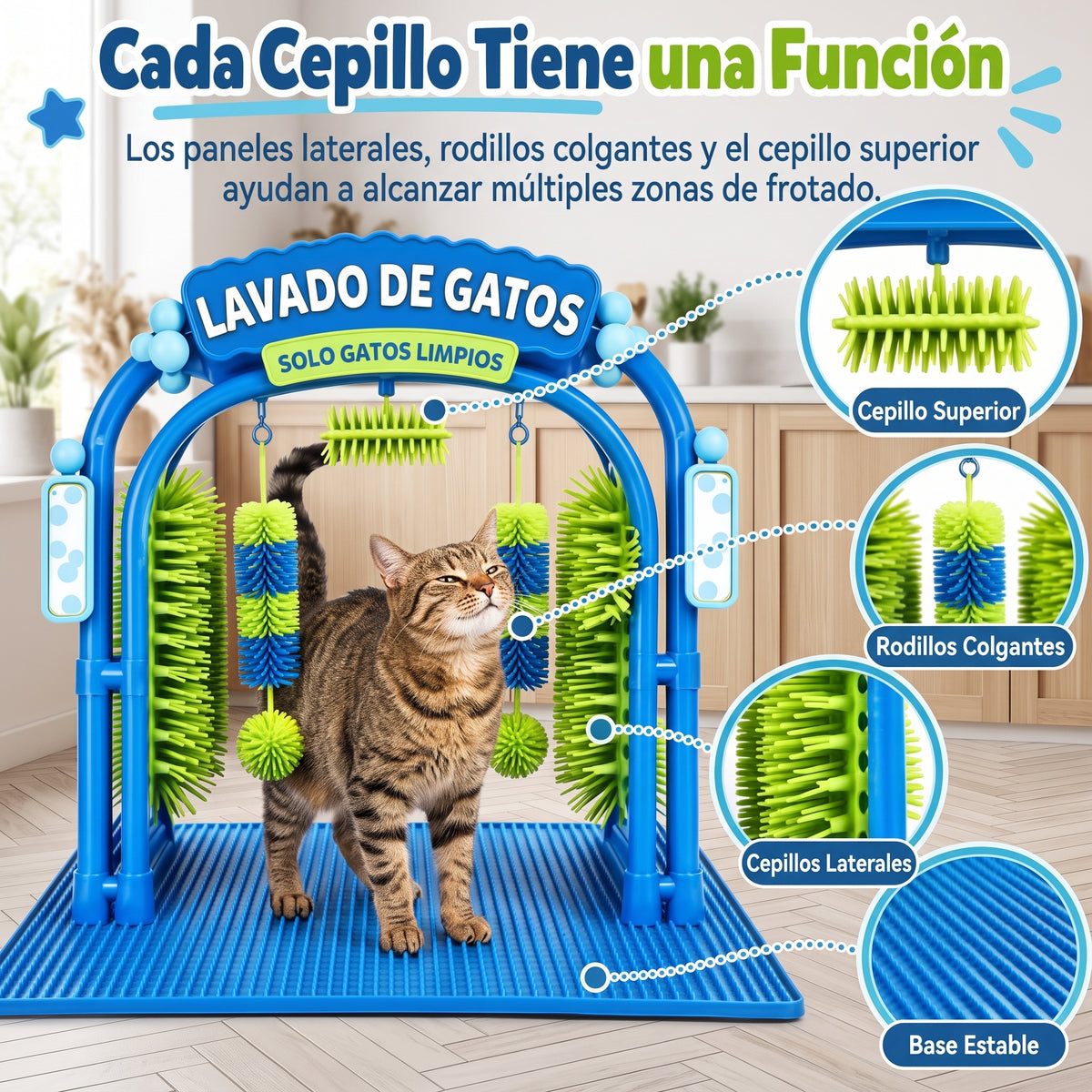 Cat Spa
