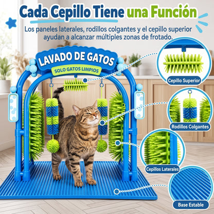 Cat Spa